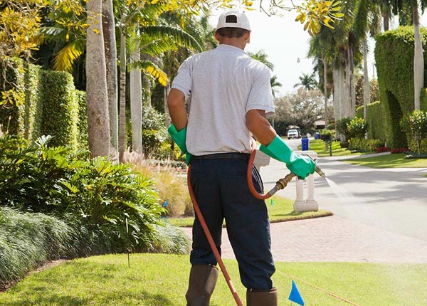 About South Boardman MI Pest Control